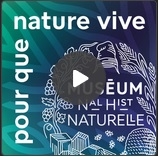 perturbateurs endocriniens,santé,plastique