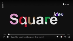Square.jpg