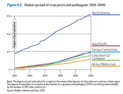 fao2.jpg