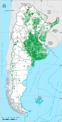 Argentine2.jpg