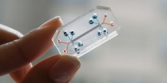 organs-on-chips.jpg