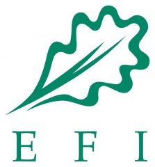 EFI.jpg