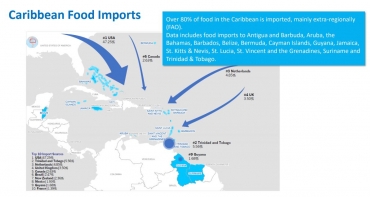 carribean food imports.jpg